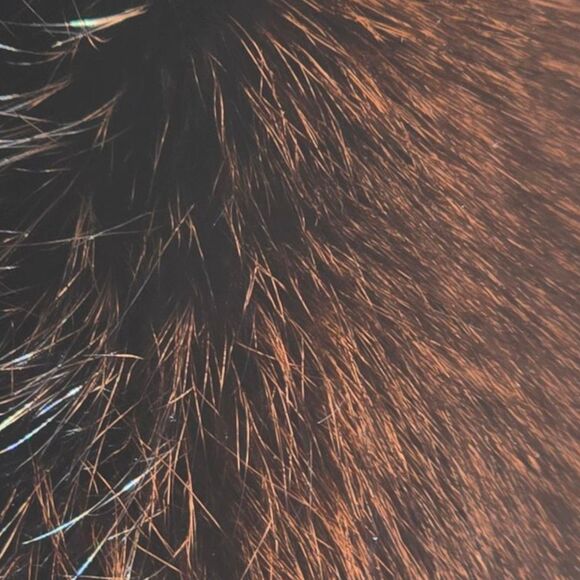 Surell Finland Genuine Brown Fox Fur Headband Scarf Hat Adustable Two In One - Picture 9 of 11